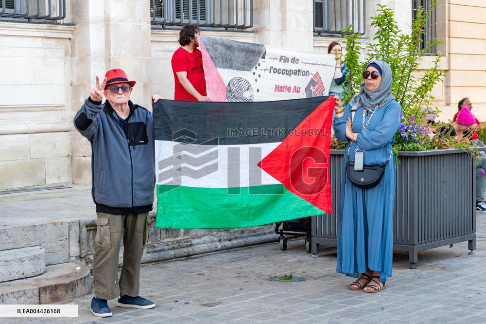 Gaza Peace March Organized By Left-Wing Collective - Troyes