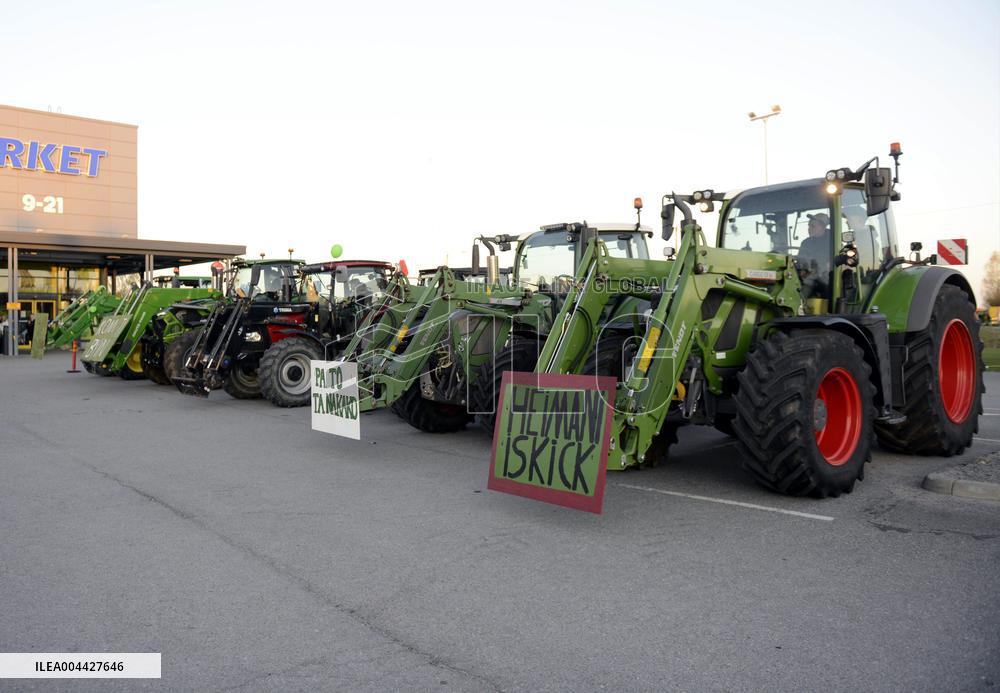 Fans follow the ESC 2025 Grand Final