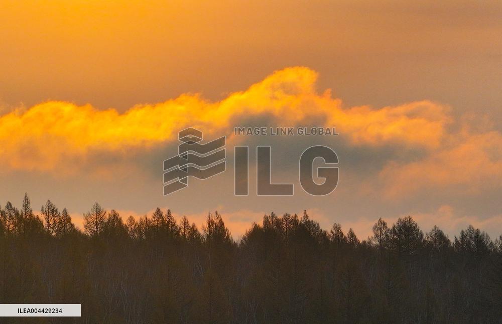 Orenbukan Primeval Forest in Xing 'an League