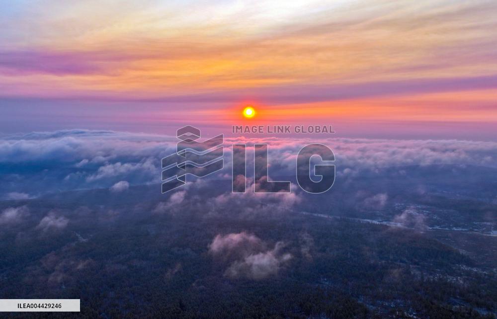 Orenbukan Primeval Forest in Xing 'an League