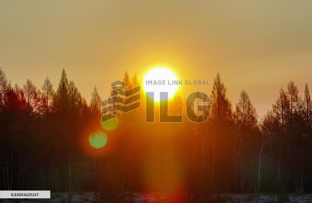 Orenbukan Primeval Forest in Xing 'an League