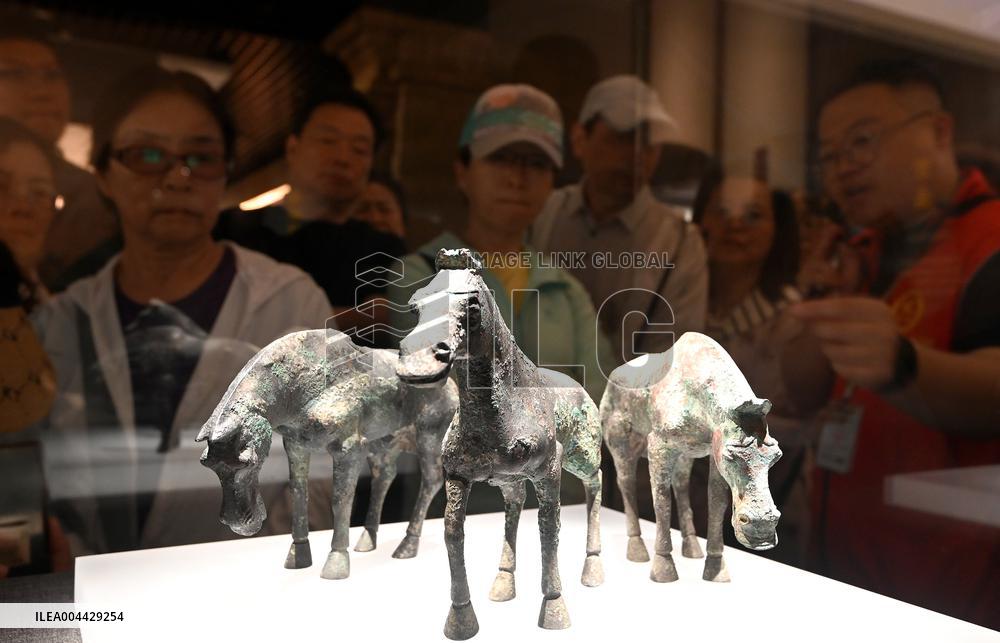 International Museum Day