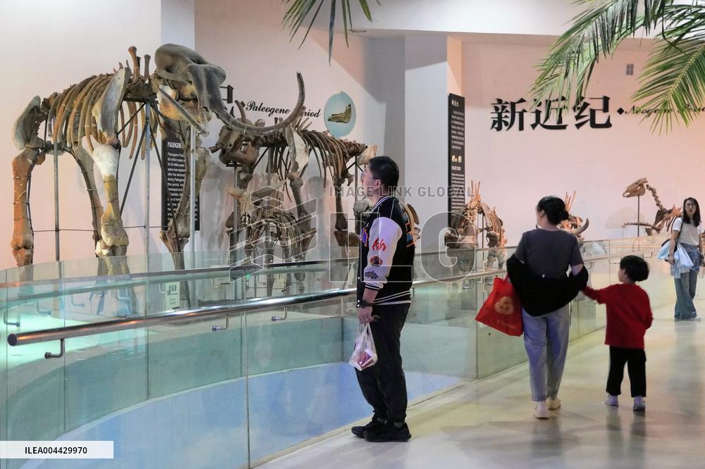 International Museum Day