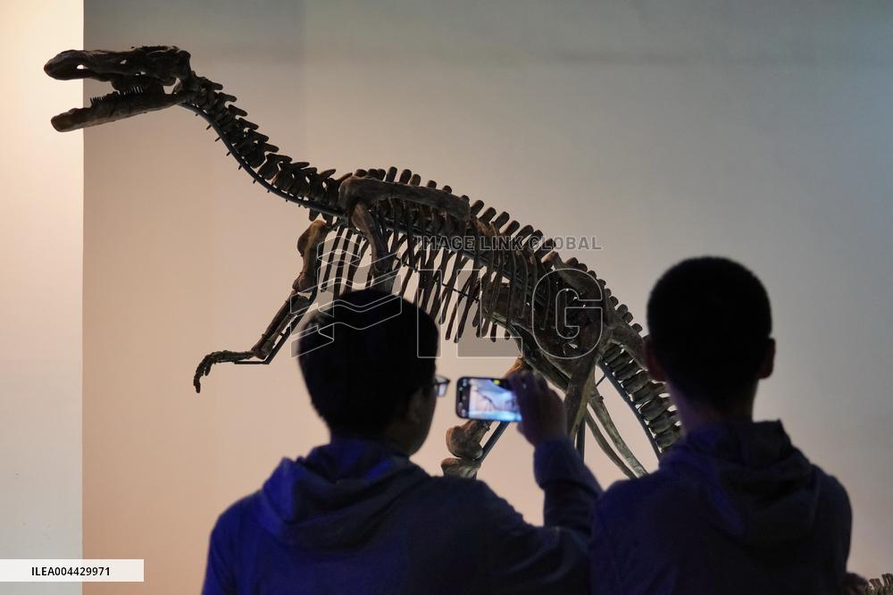 International Museum Day