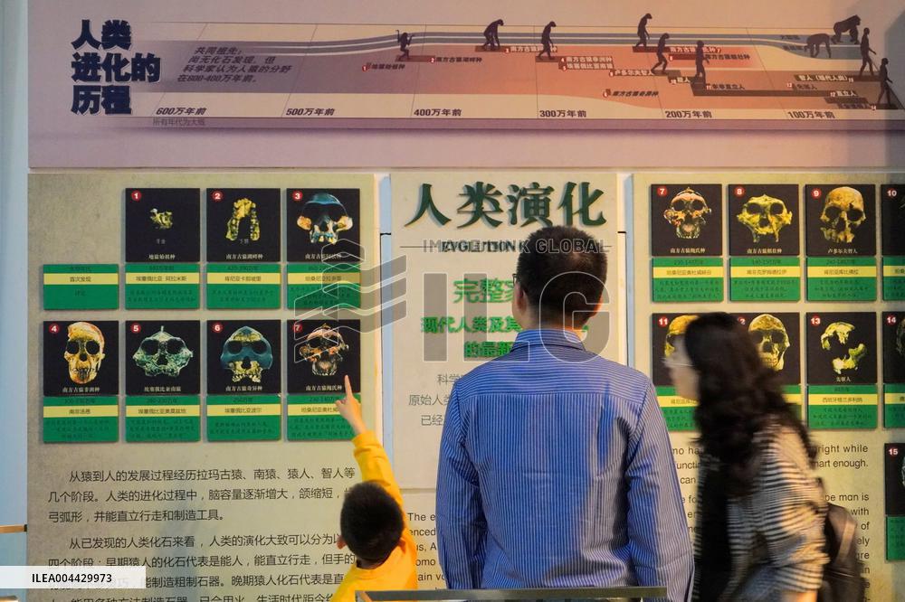 International Museum Day