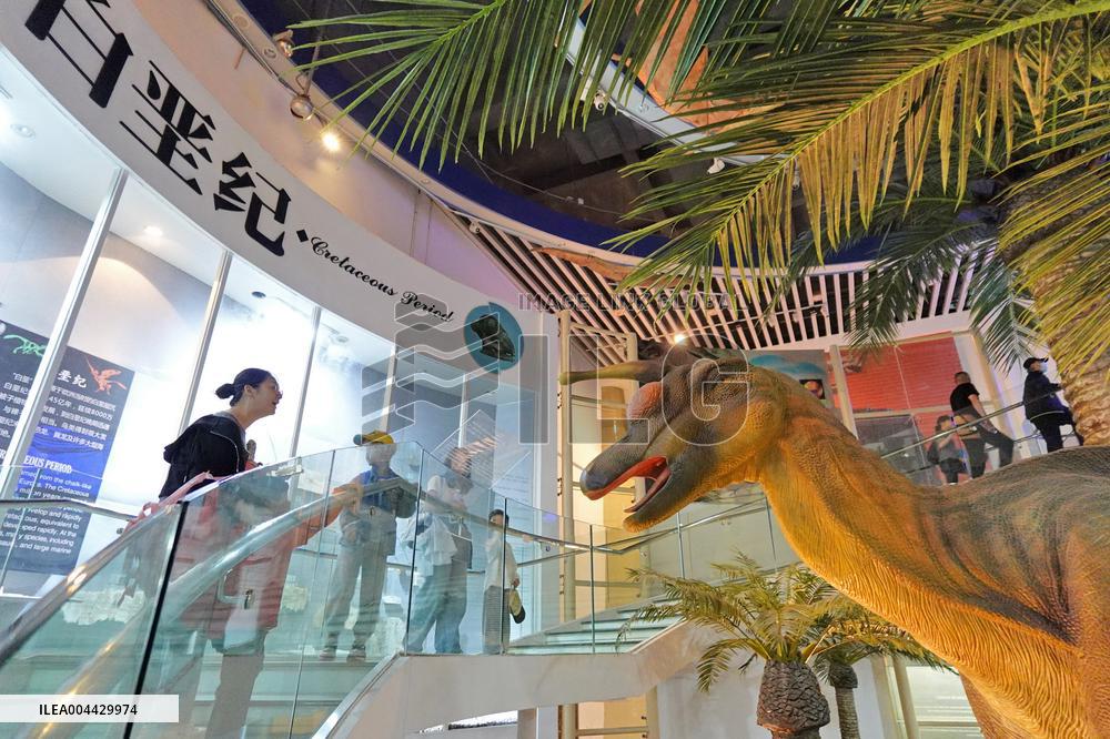 International Museum Day