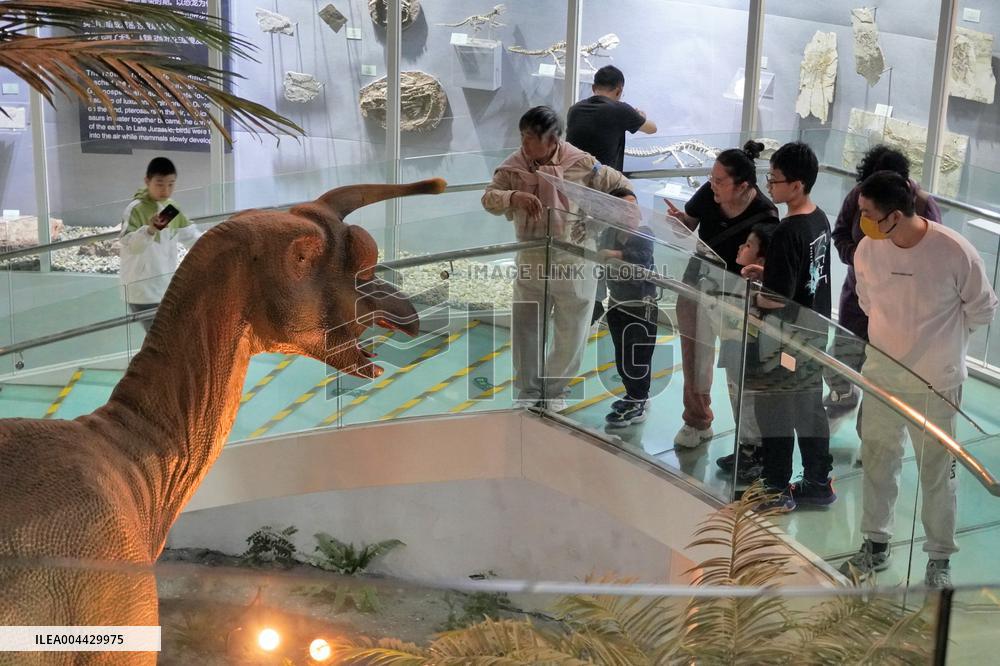 International Museum Day