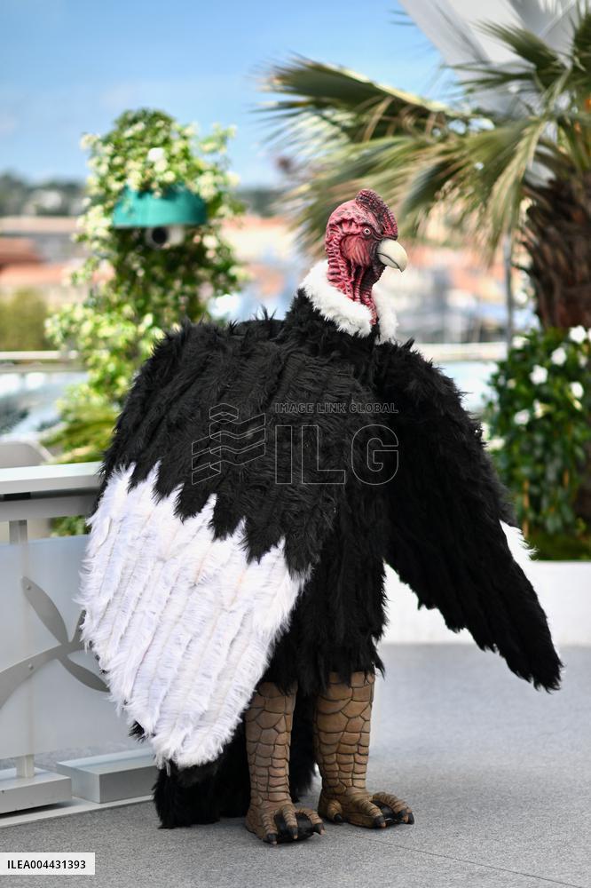 Cannes - I Love Peru Photocall