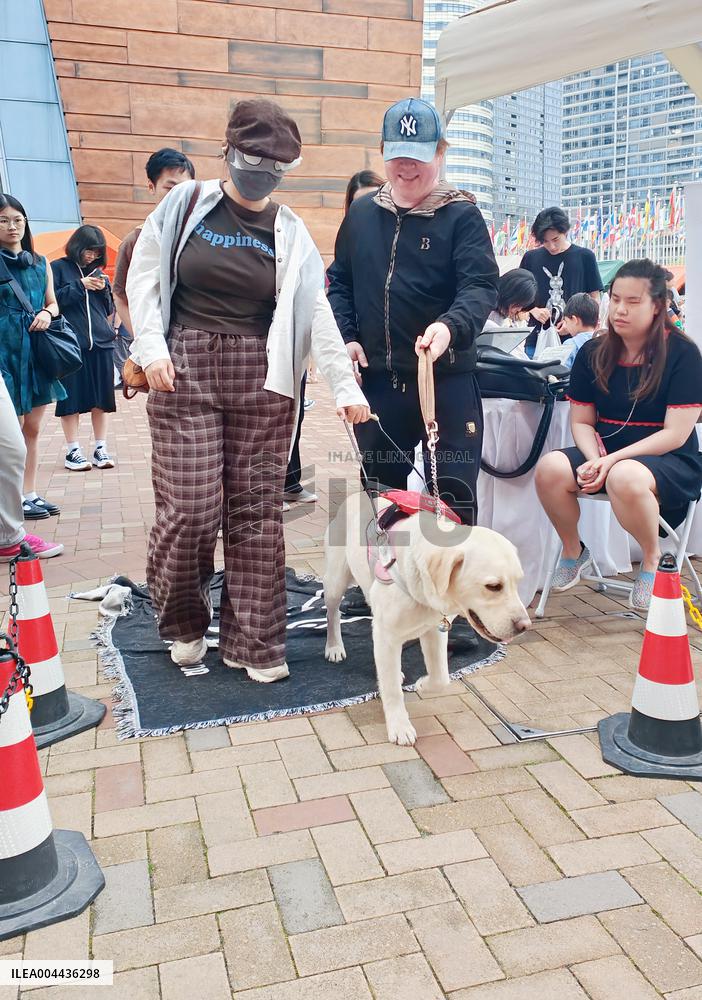 Guide Dog Public Welfare Experience Activity in Shanghai