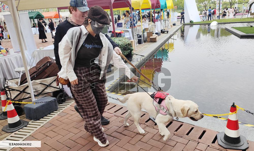 Guide Dog Public Welfare Experience Activity in Shanghai