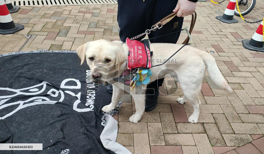 Guide Dog Public Welfare Experience Activity in Shanghai