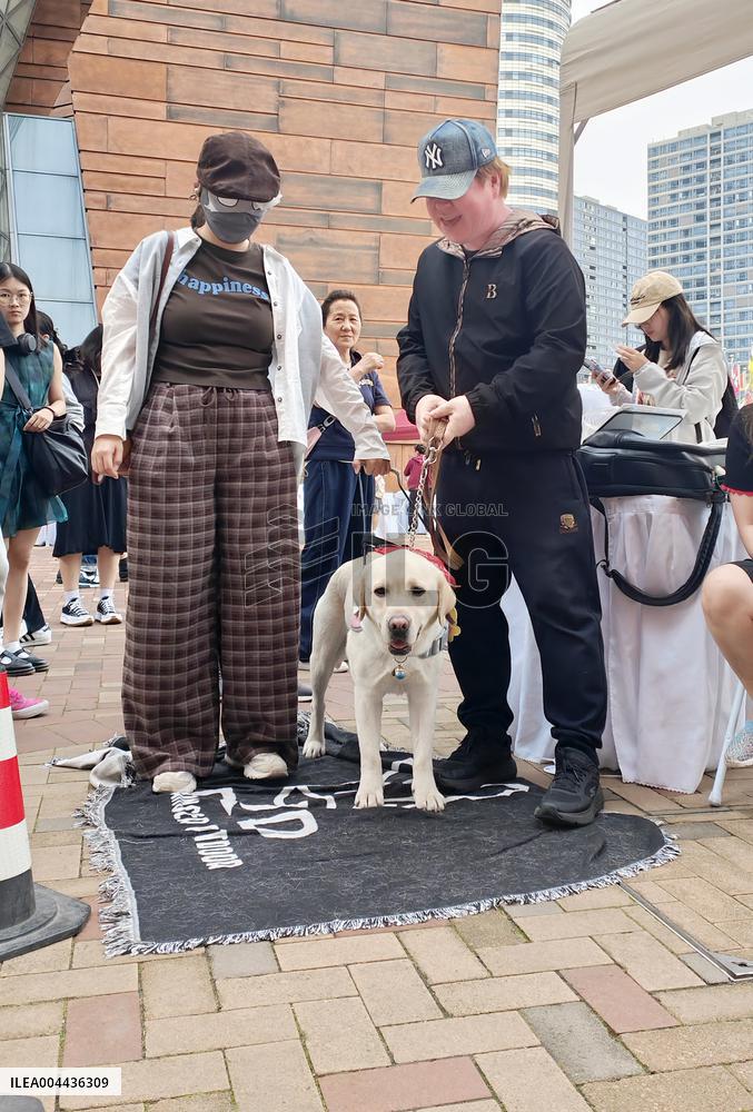 Guide Dog Public Welfare Experience Activity in Shanghai