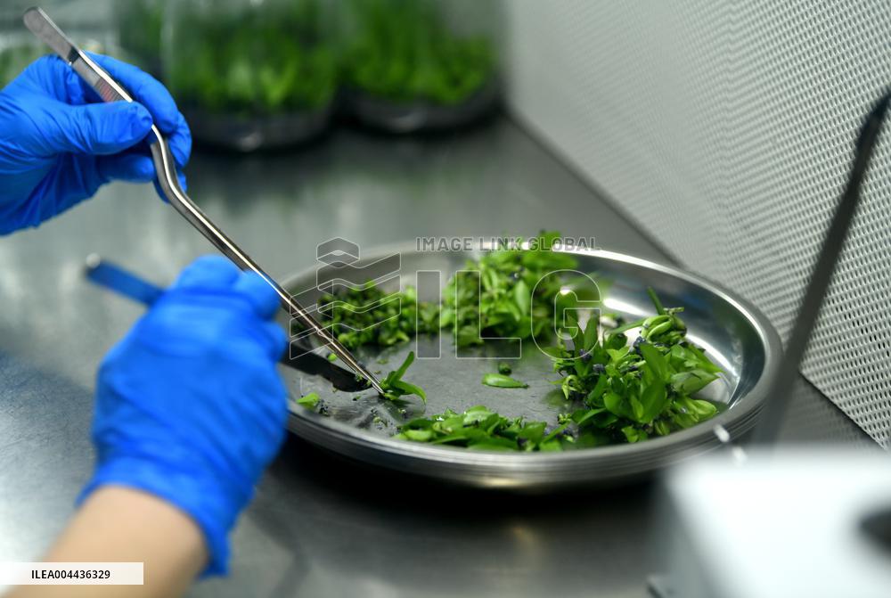 Technological Seedling Cultivation