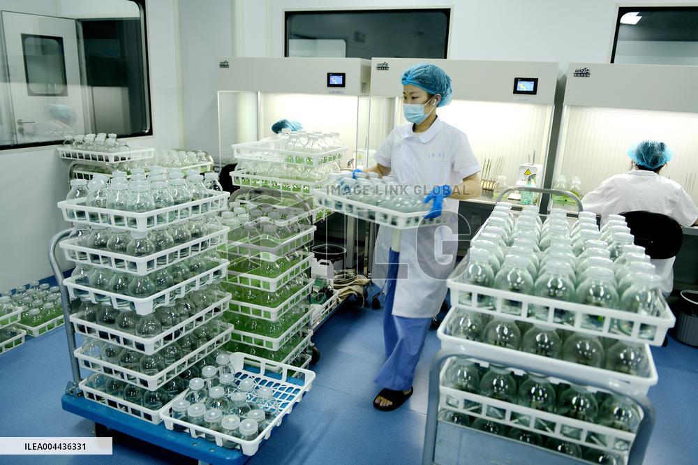 Technological Seedling Cultivation