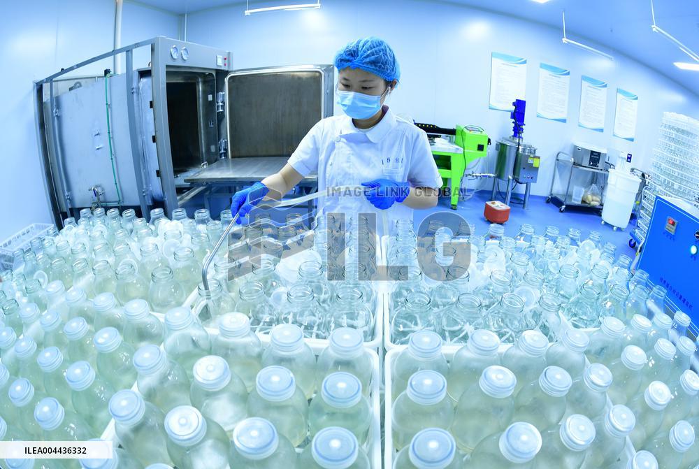 Technological Seedling Cultivation