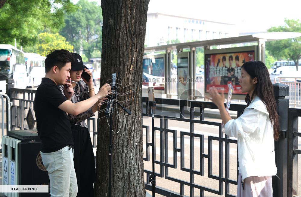 China Network Anchor Industry