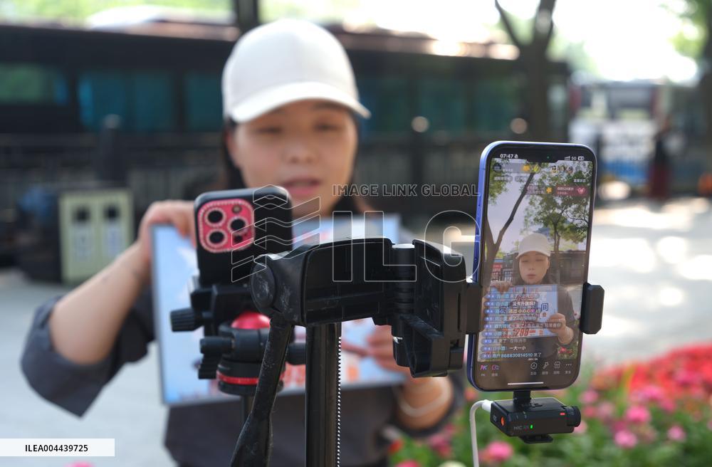 China Network Anchor Industry