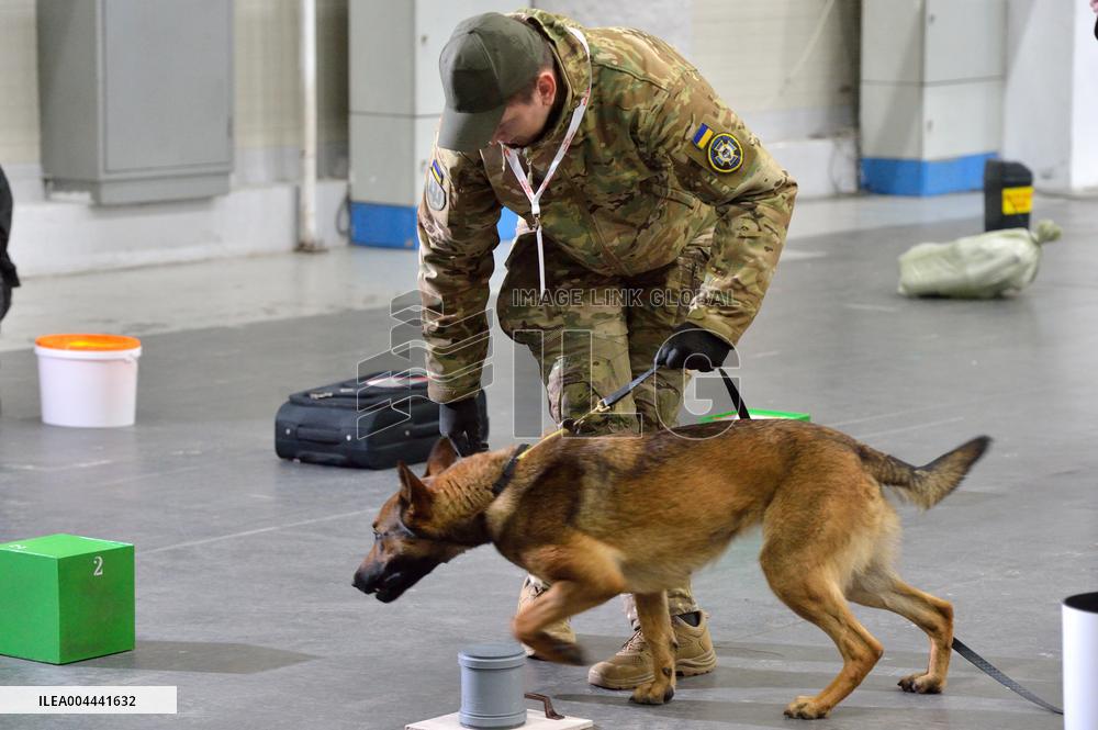 Ukraines largest dog training competition held under auspices of DIU