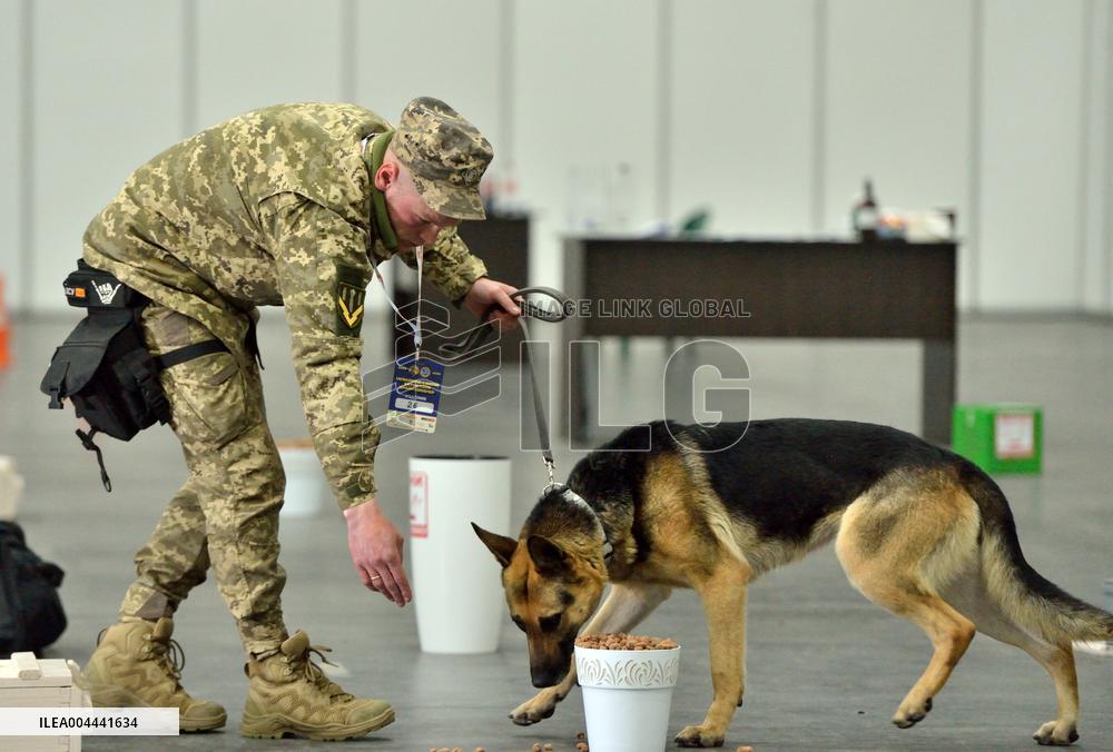 Ukraines largest dog training competition held under auspices of DIU