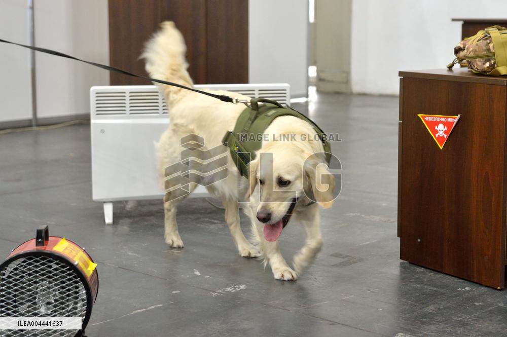 Ukraines largest dog training competition held under auspices of DIU