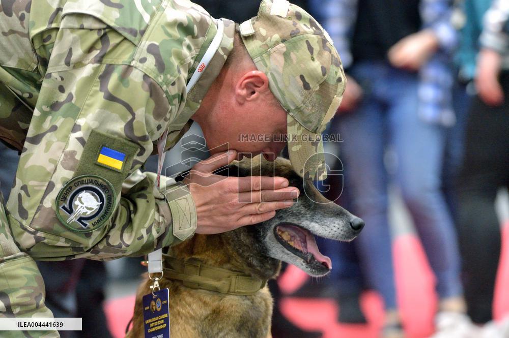 Ukraines largest dog training competition held under auspices of DIU