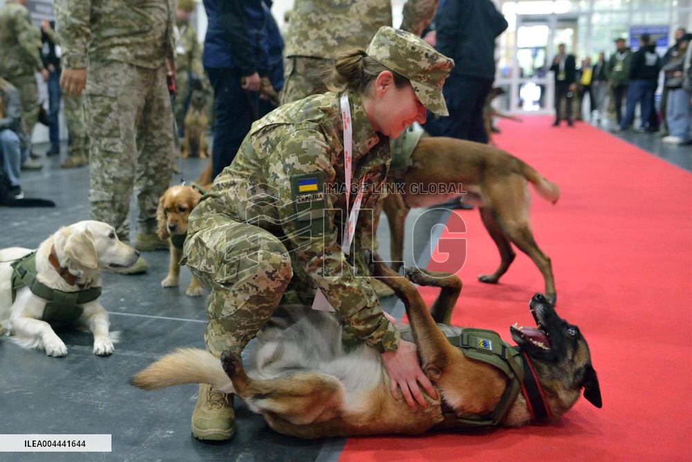 Ukraines largest dog training competition held under auspices of DIU