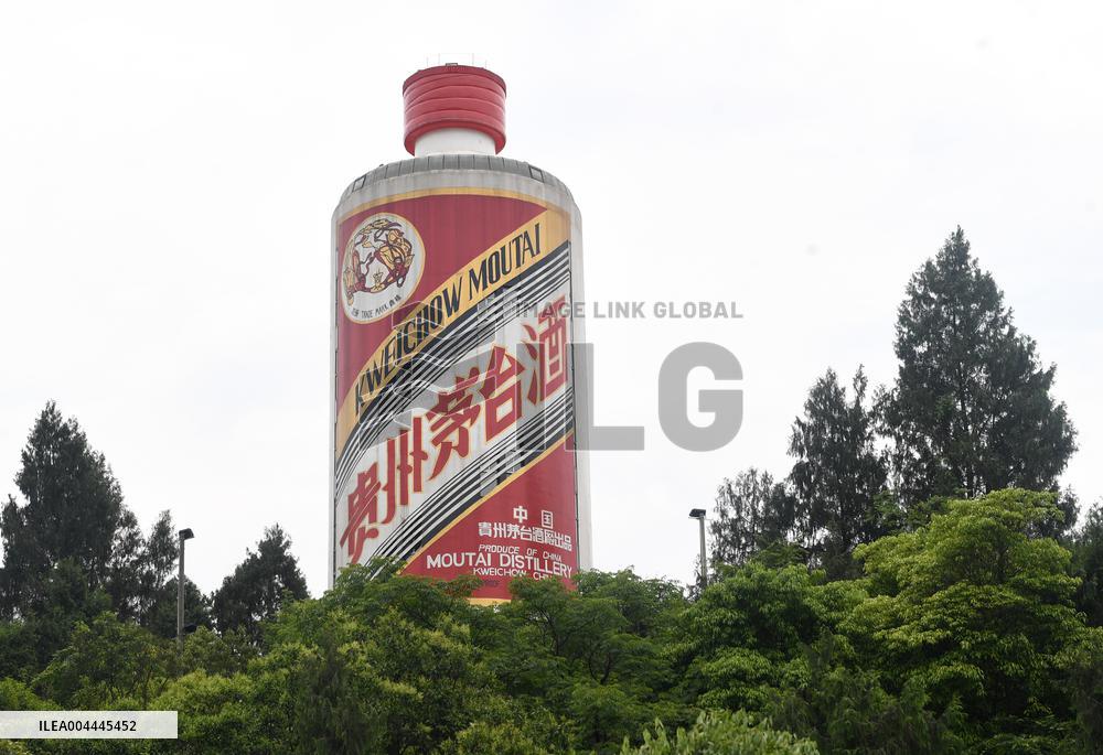 Giant Moutai Wine Bottle