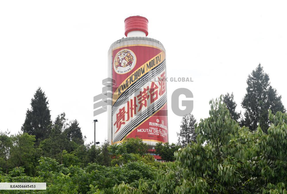 Giant Moutai Wine Bottle