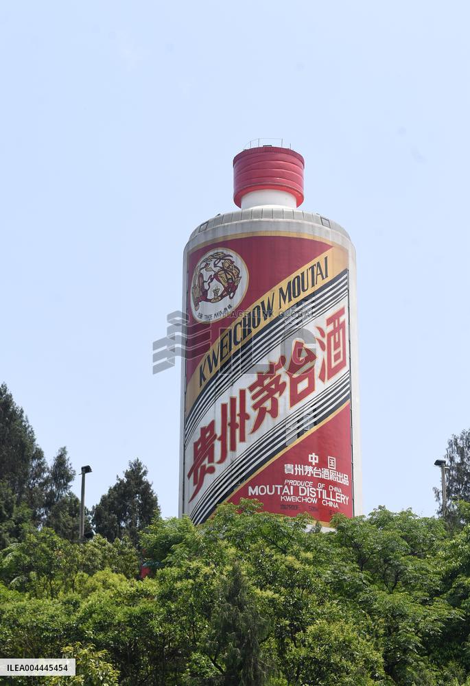 Giant Moutai Wine Bottle