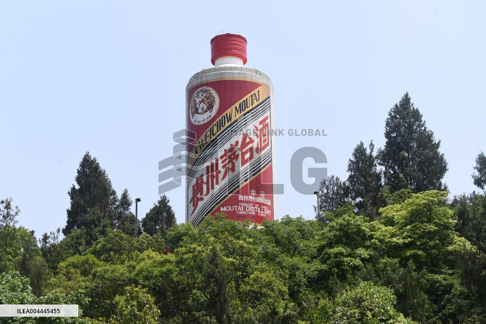 Giant Moutai Wine Bottle