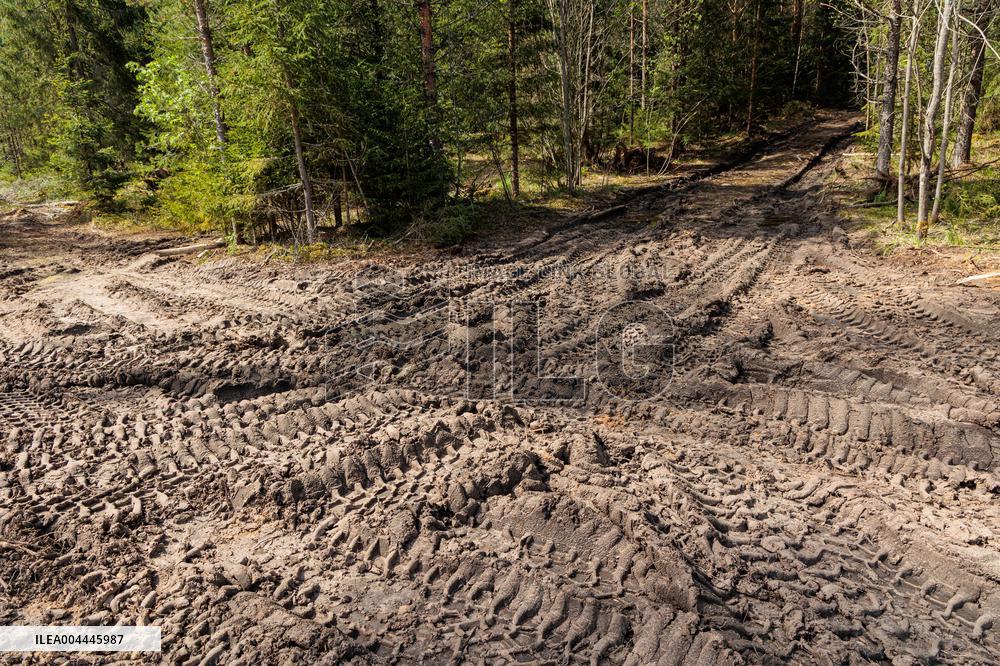 Damages caused by the EDFÂ´s exercise