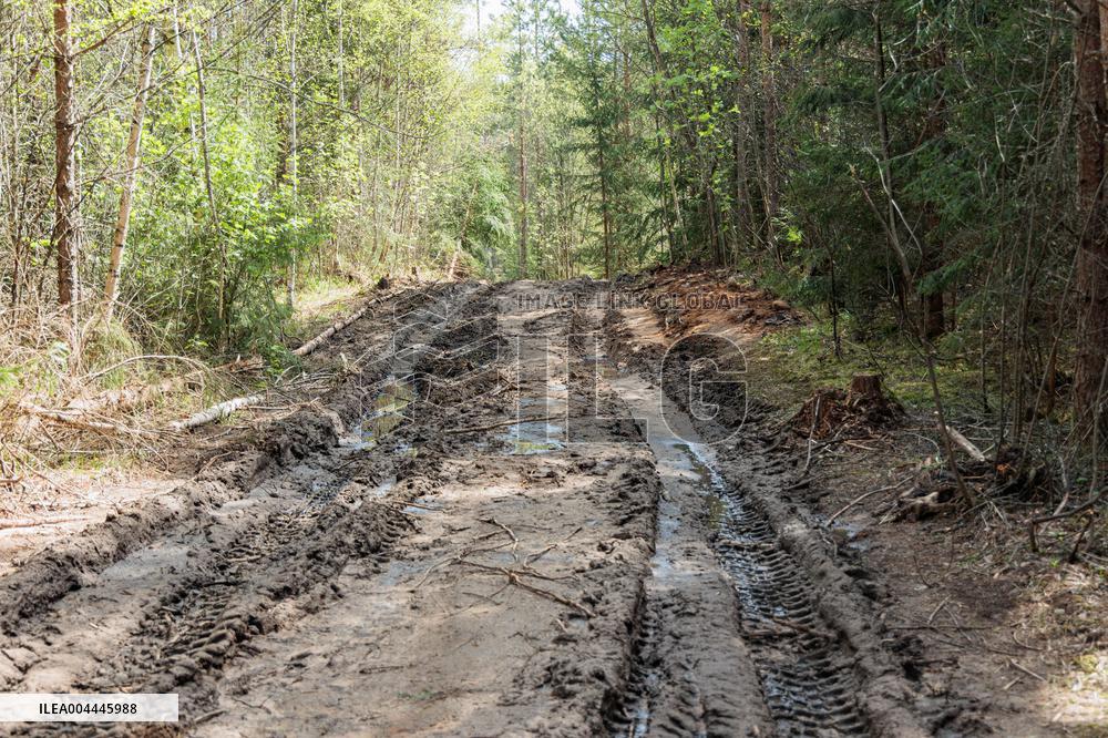 Damages caused by the EDFÂ´s exercise