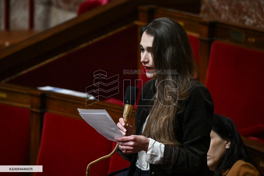 Questions to the government at the National Assembly in Paris FA