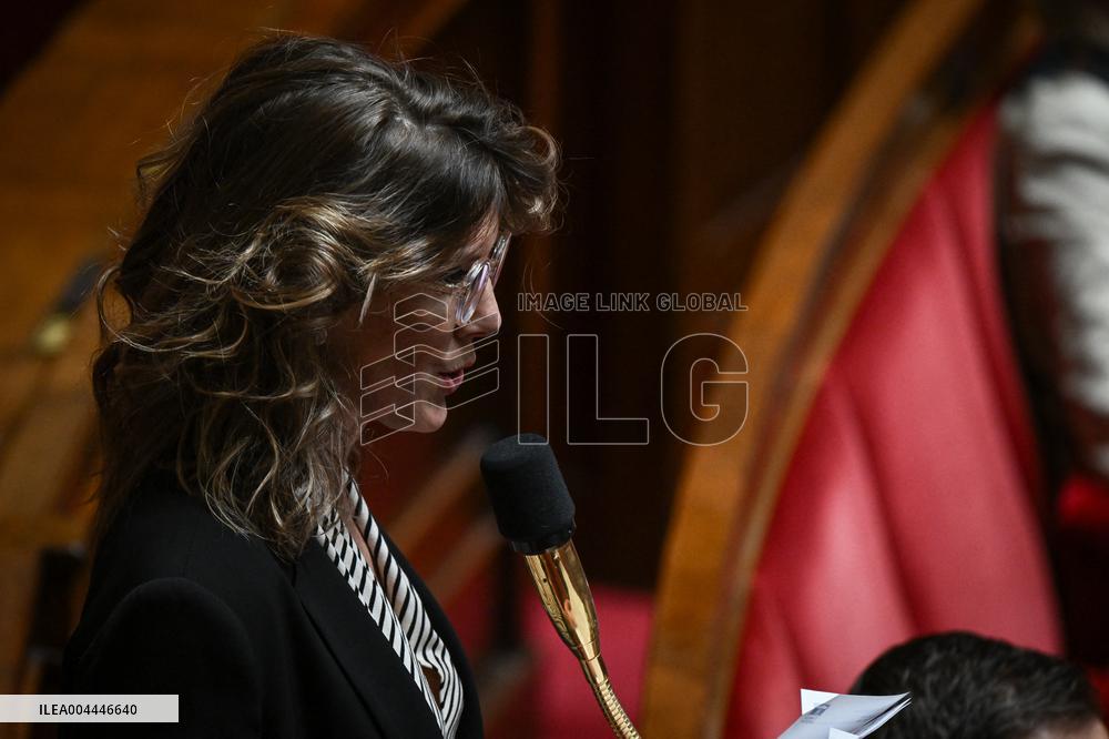 Questions to the government at the National Assembly in Paris FA