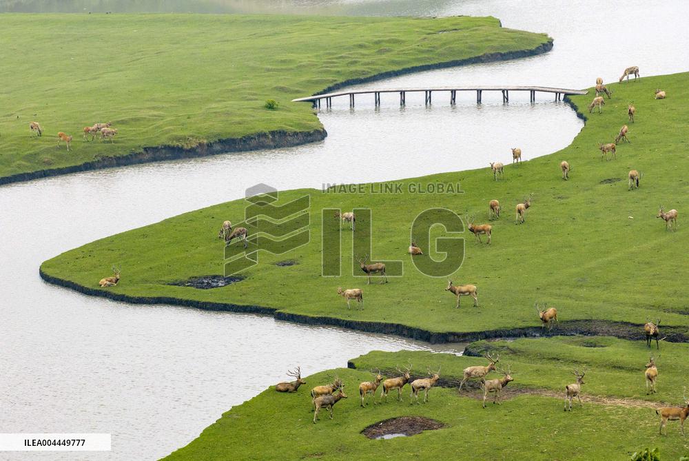 International Day for Biological Diversity