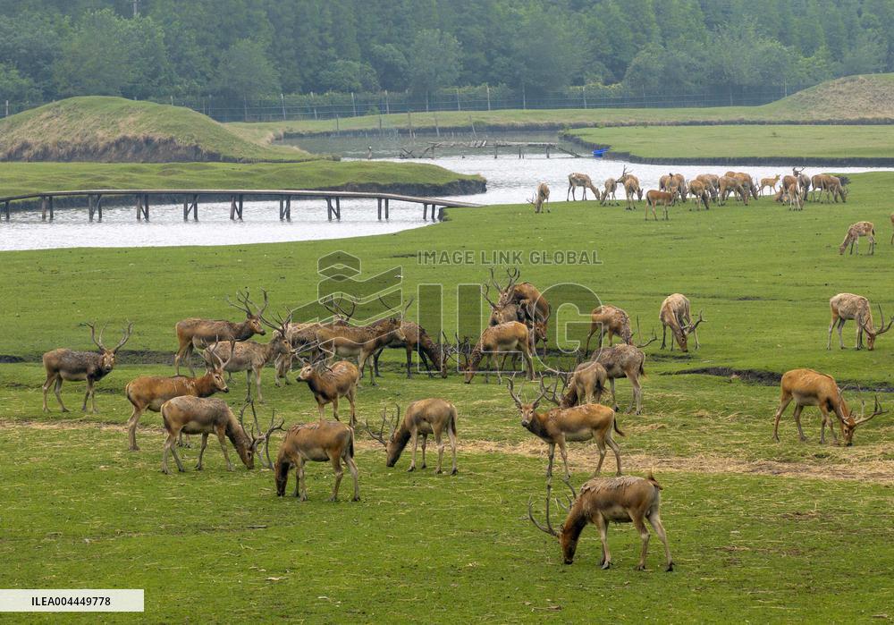 International Day for Biological Diversity