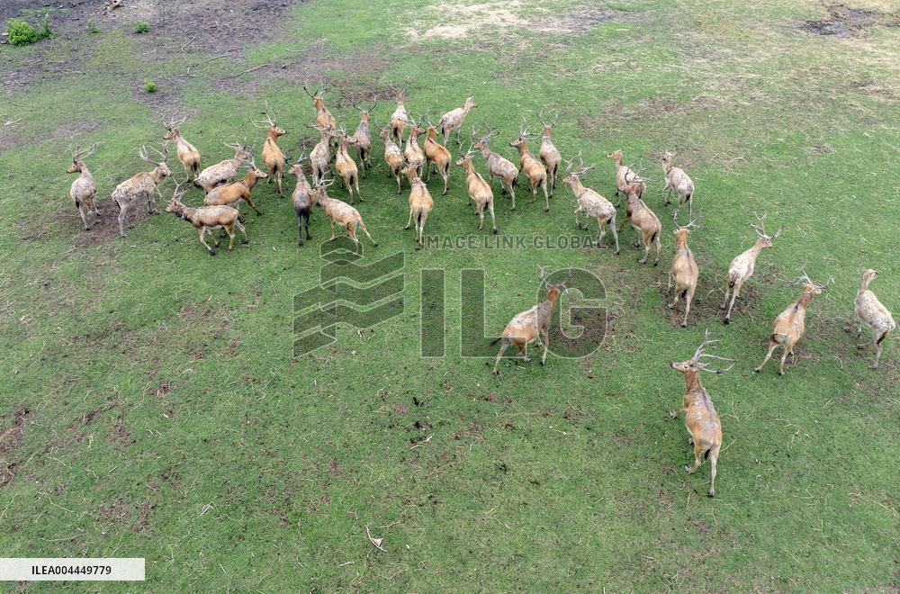 International Day for Biological Diversity