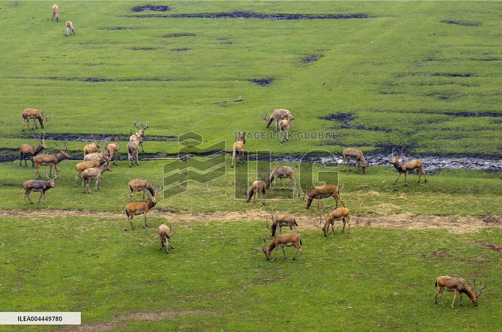International Day for Biological Diversity