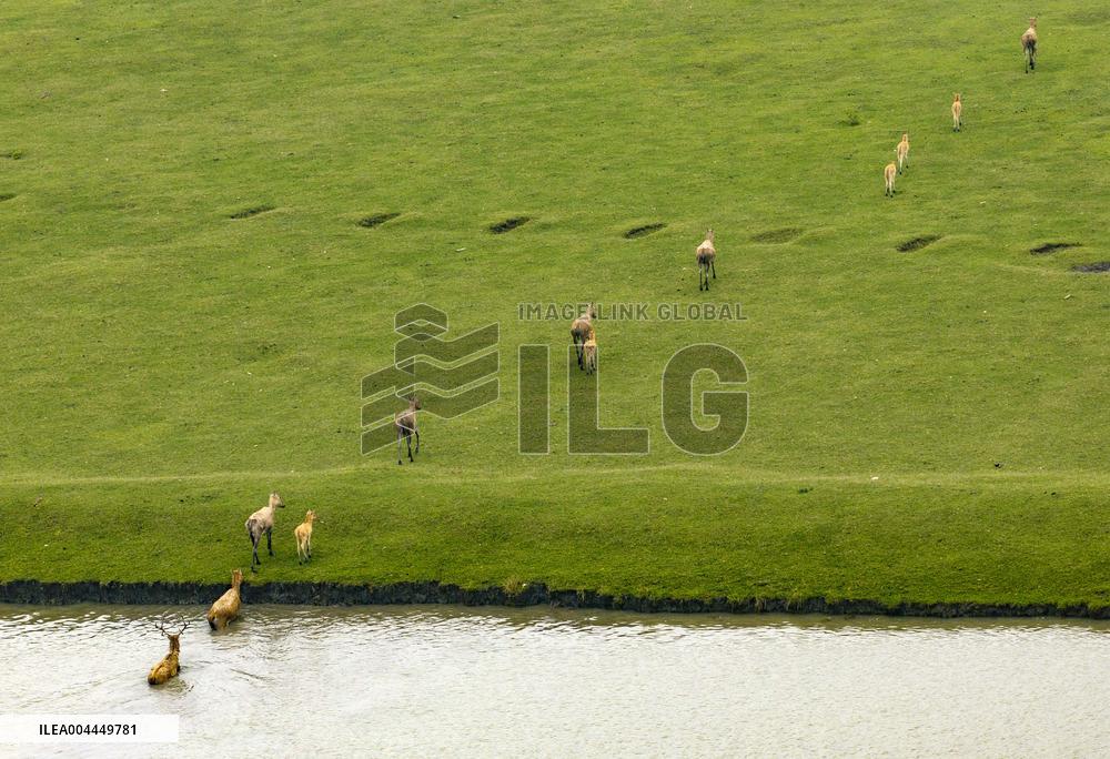 International Day for Biological Diversity