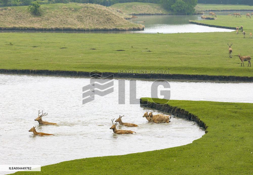 International Day for Biological Diversity