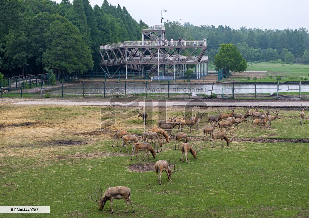 International Day for Biological Diversity