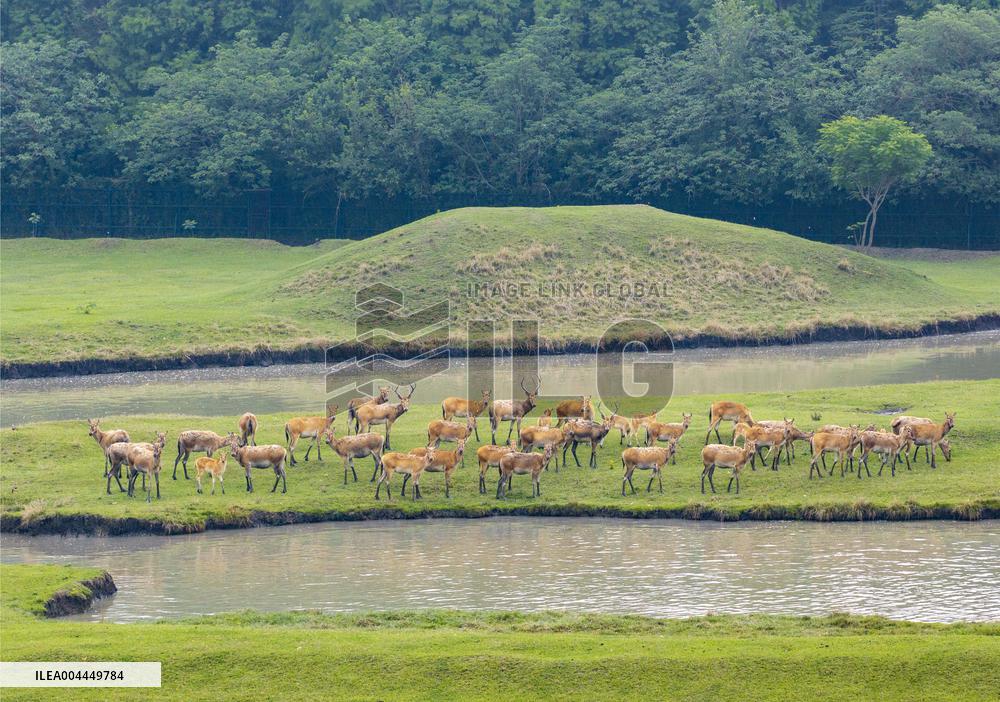 International Day for Biological Diversity