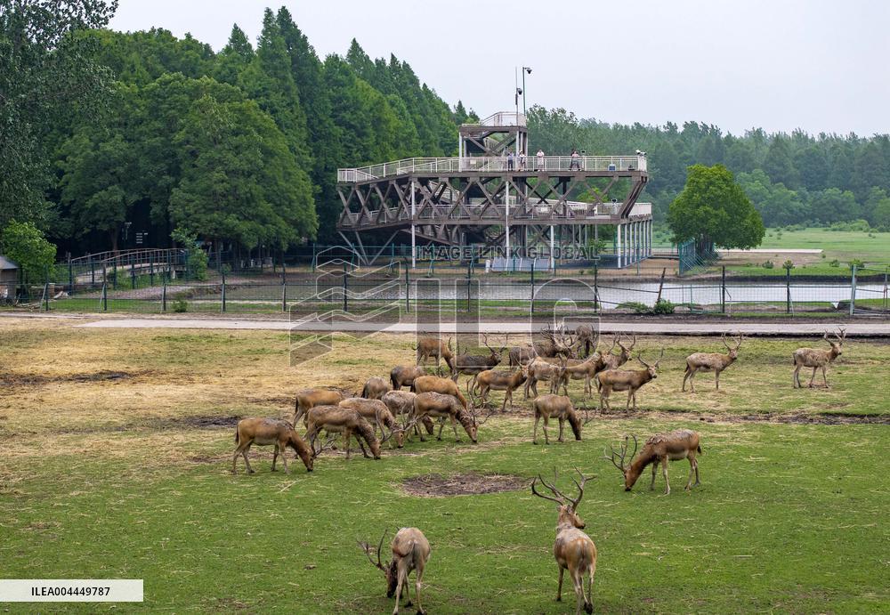 International Day for Biological Diversity