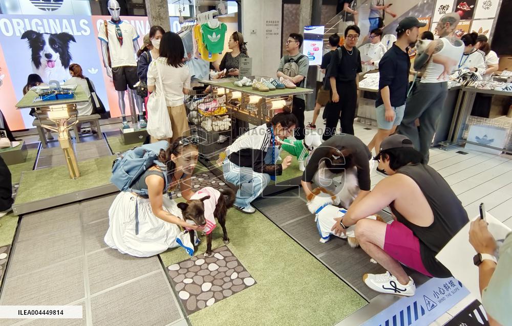 First Adidas Originals Global Flagship Store in Shanghai