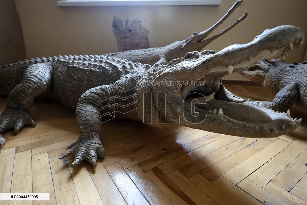 Museum Complex of Karazin Kharkiv National University