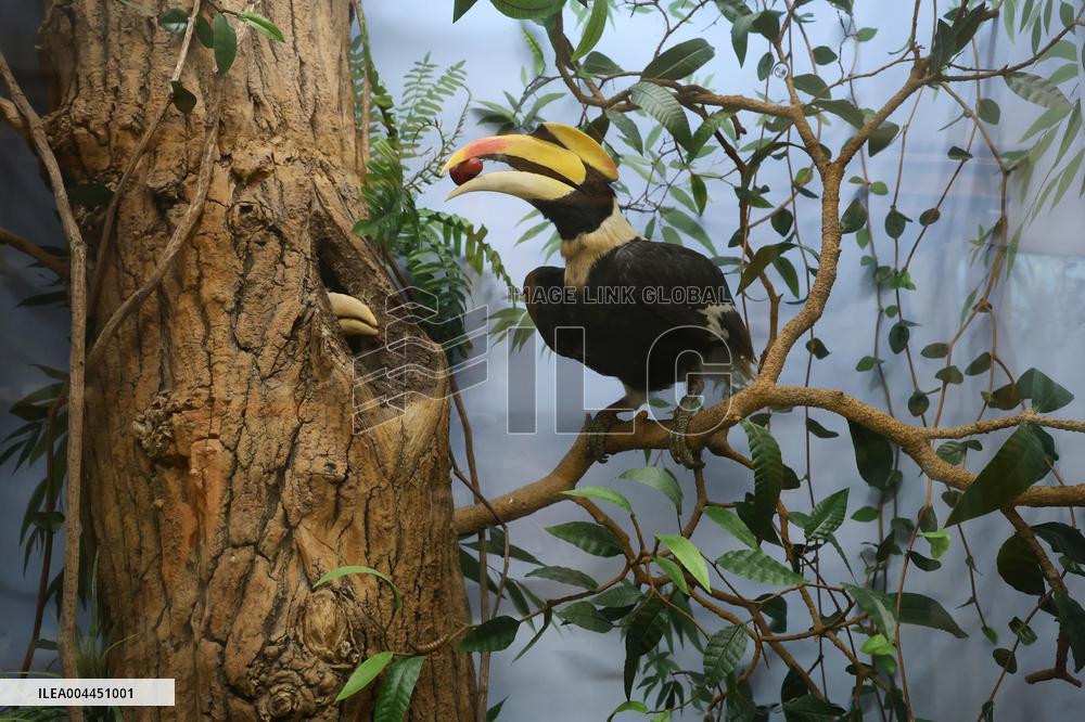 Museum Complex of Karazin Kharkiv National University