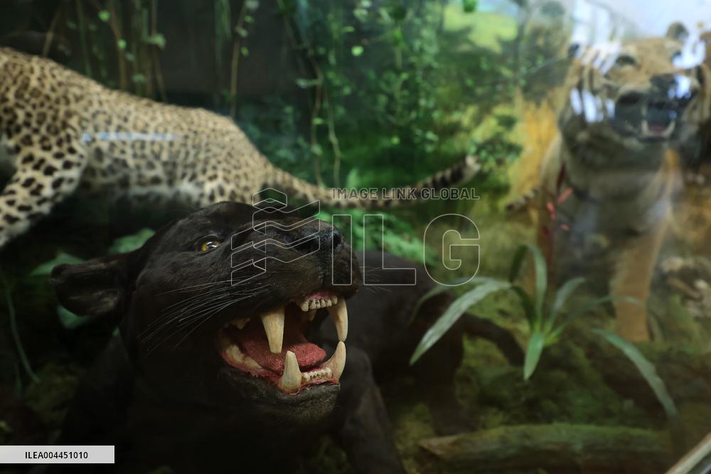 Museum Complex of Karazin Kharkiv National University