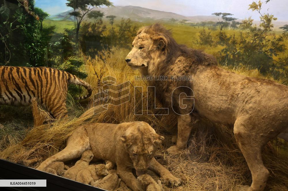 Museum Complex of Karazin Kharkiv National University