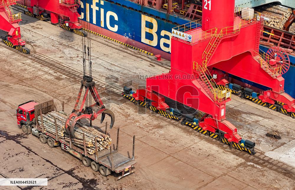 Largest Timber Import Port Rizhao Port in China
