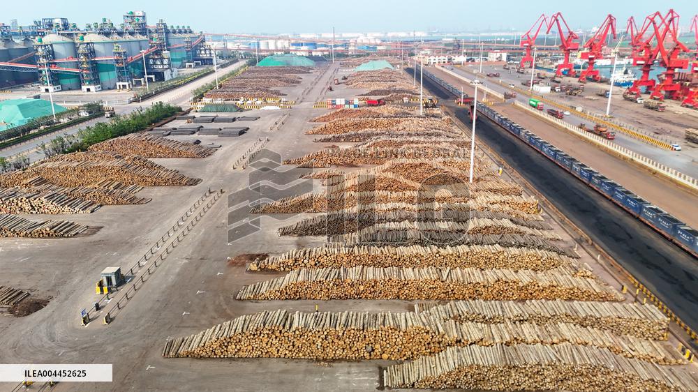 Largest Timber Import Port Rizhao Port in China